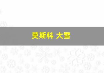 莫斯科 大雪